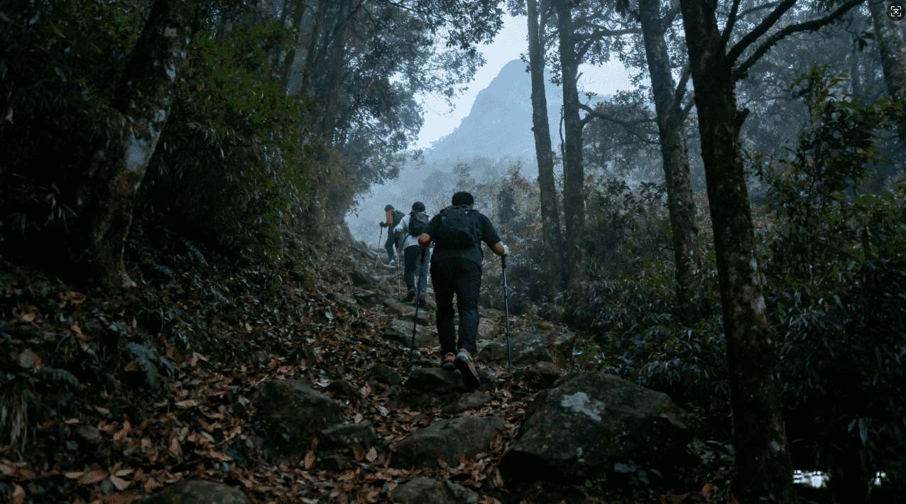 天行加速器未能获取服务器地址的原因及详细分析